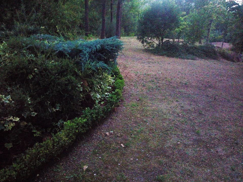 66814543_2300819710003667_1055131558907740160_n.jp