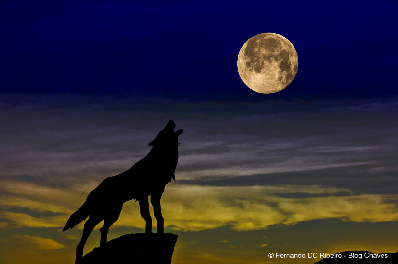 1600-fafiao (185)-composicao.jpg