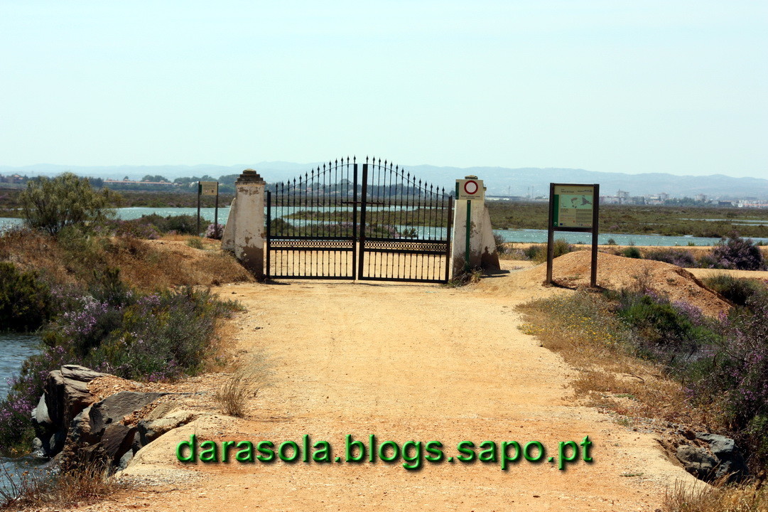 Maresmas_Isla_Canela_01.JPG Maresmas_Isla_Canela_01.JPG