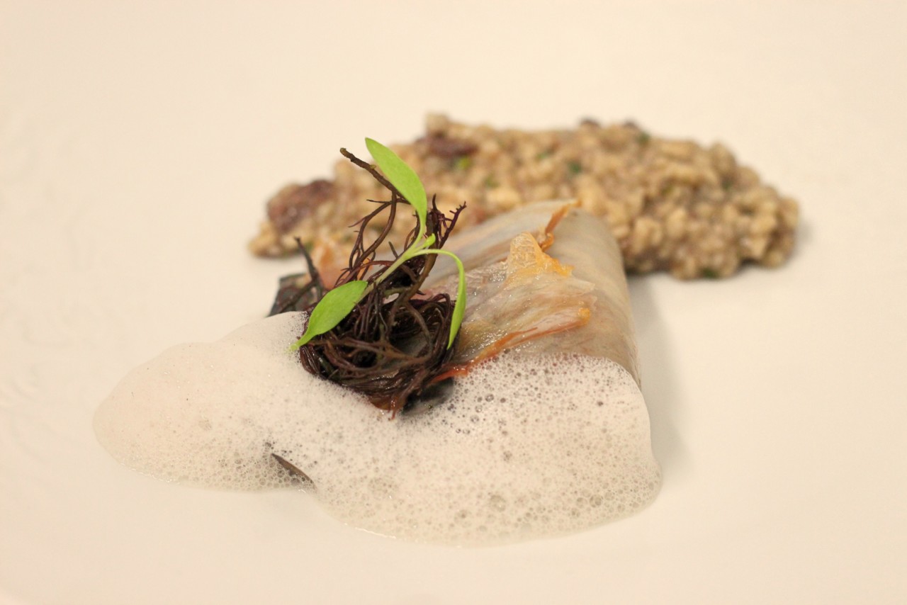 Ensaios sobre a Lampreia do Rio Minho