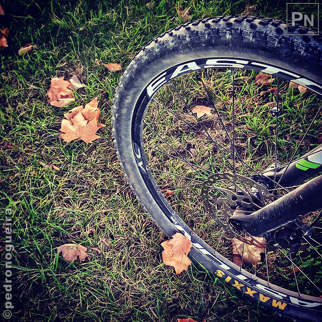 Out_2017_044a Insta 650px.jpg