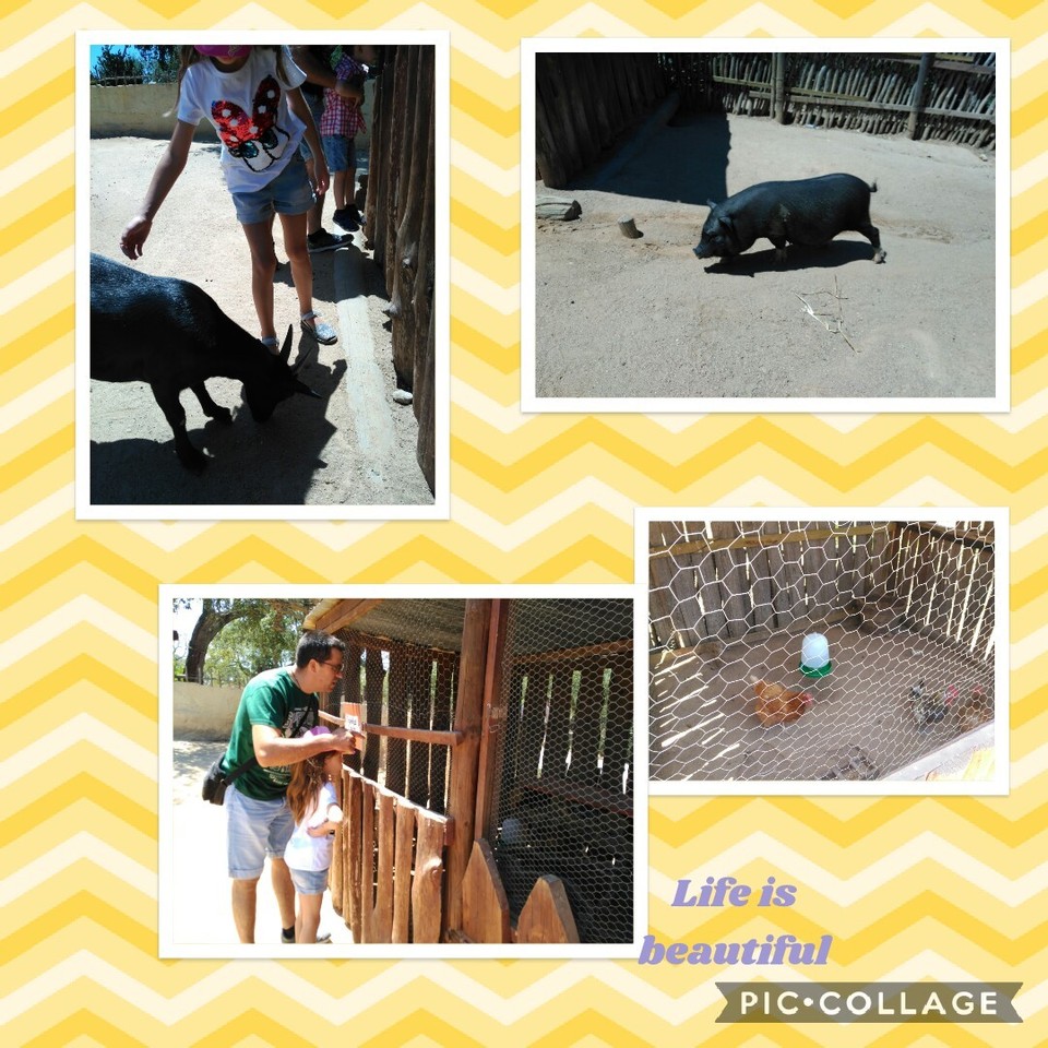 Collage 2017-07-22 22_54_52.jpg Collage 2017-07-22 22_54_52.jpg