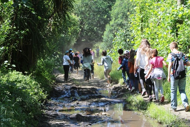 CAMINHADA RIO ARDA.jpg