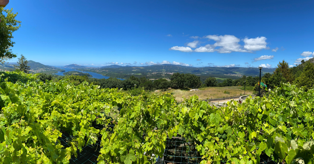 33E9886E-456A-48DE-9853-7A55CF8C572F.JPG 33E9886E-456A-48DE-9853-7A55CF8C572F.JPG