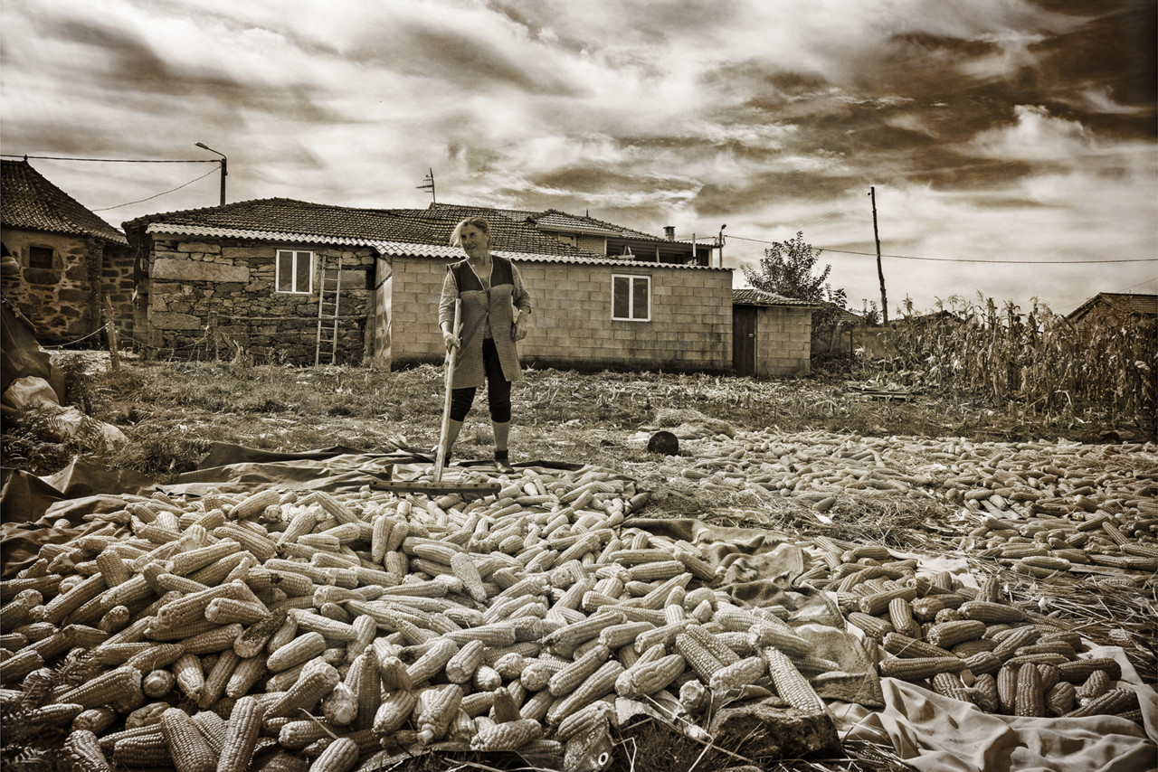 _JMF7490 - cópia copy - cópia.jpg