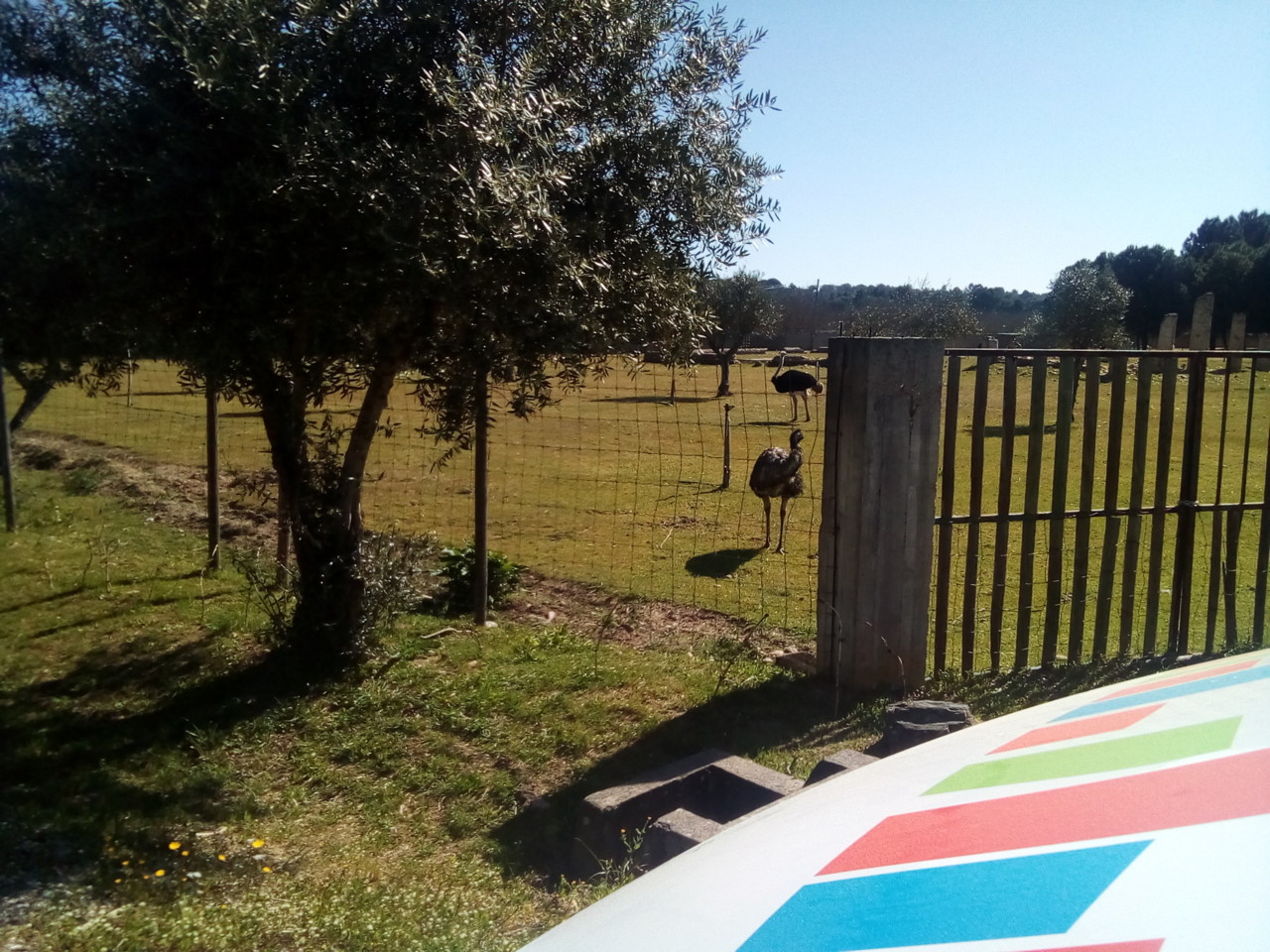 IMG_20190327_102736.jpg IMG_20190327_102736.jpg