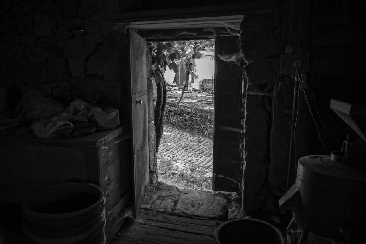 DSCF6729 - cópia copy.jpg