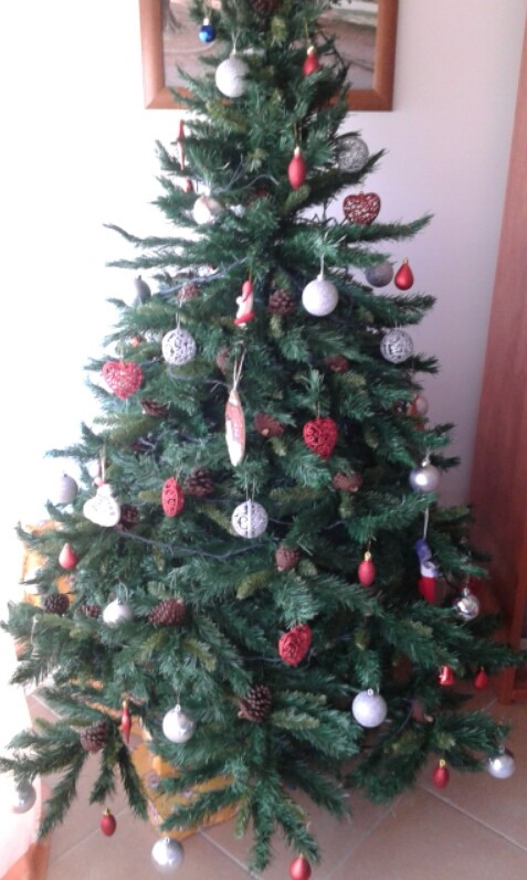 2016-11-29 06.55.32.jpg