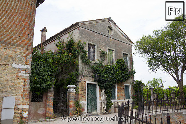 _MG_1132 650px.jpg _MG_1132 650px.jpg