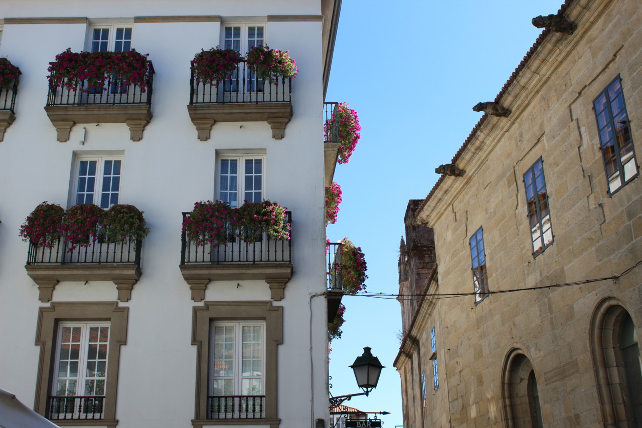 IMG_0304.JPG IMG_0304.JPG