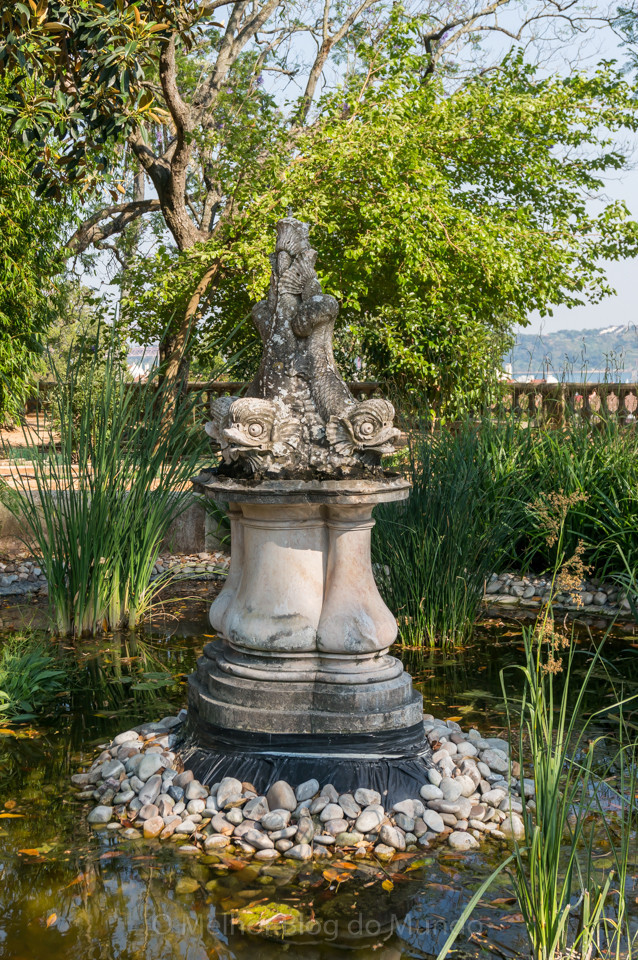 DSC00093.jpg DSC00093.jpg