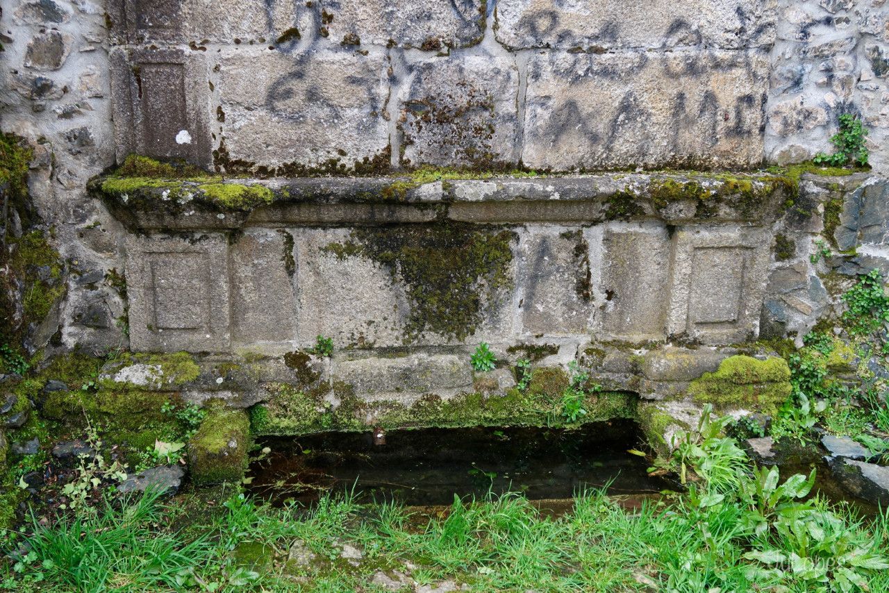 IMG_0125.jpg IMG_0125.jpg