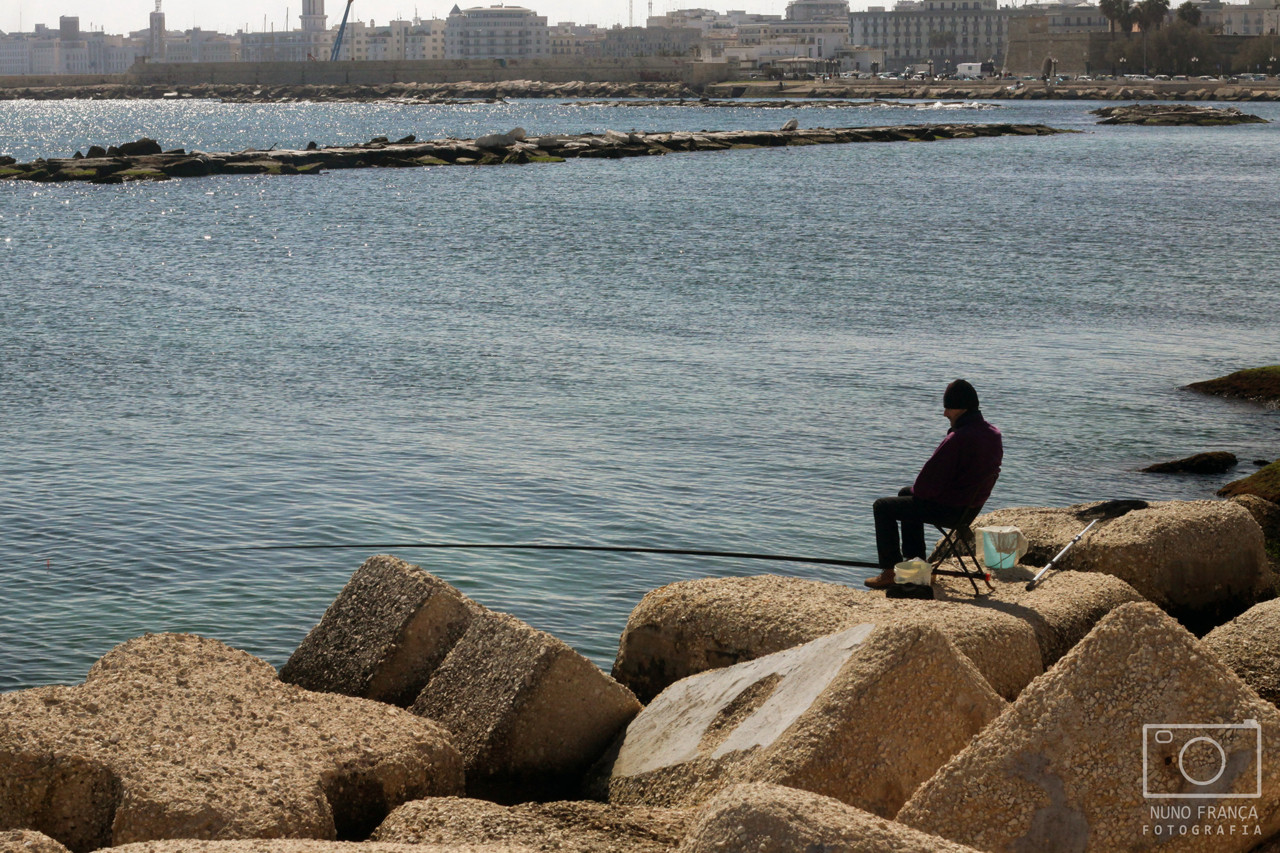 IMG_5730_net_redimensionada.jpg IMG_5730_net_redimensionada.jpg