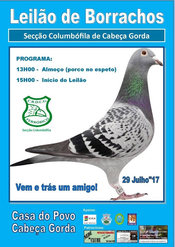 Leilão Cabeça Gorda.jpg