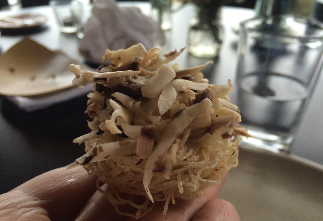 image.jpeg image.jpeg