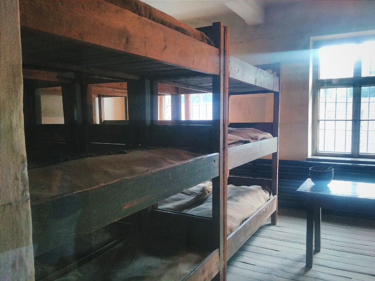 2016-08-15 05.43.46 2.jpg