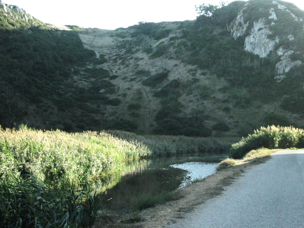 IMG_6690.JPG IMG_6690.JPG