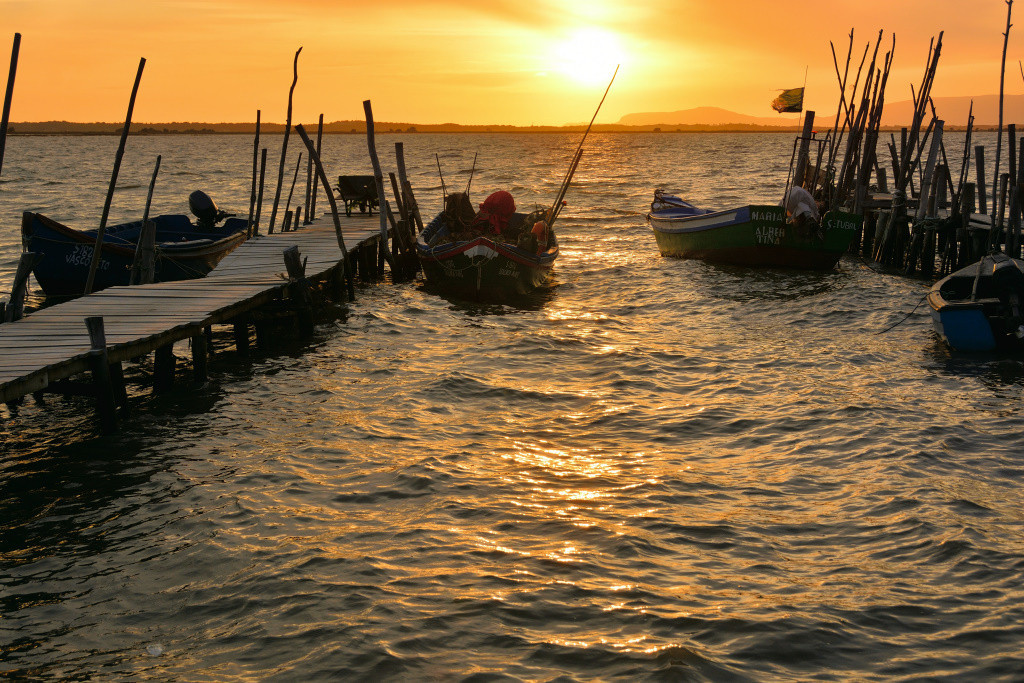 DSC_2968_01_00028.jpg DSC_2968_01_00028.jpg