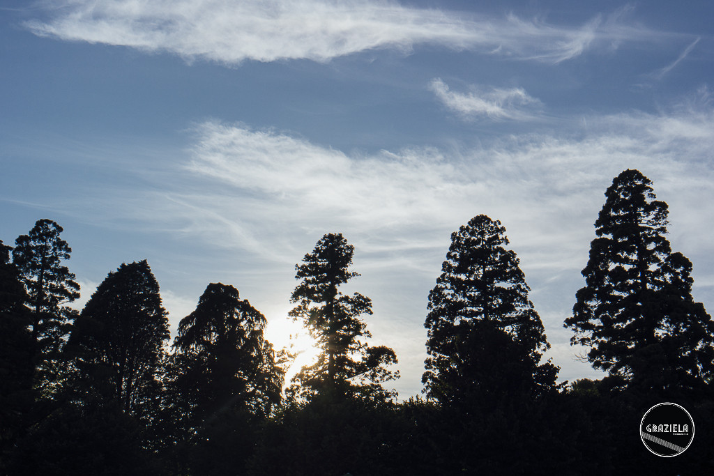 Grande_Hotel_do_Luso-3943.jpg Grande_Hotel_do_Luso-3943.jpg