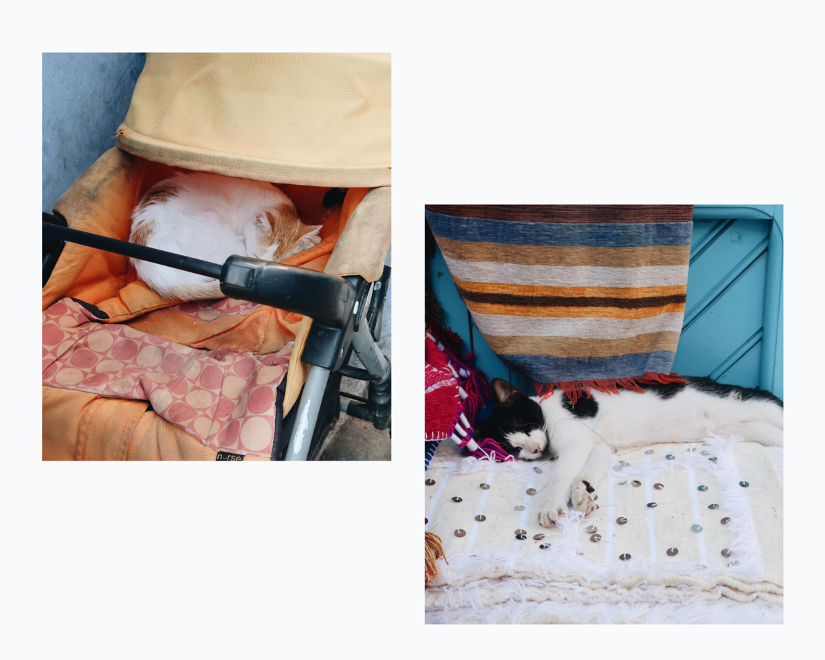 CHEFCHAOUEN.png CHEFCHAOUEN.png