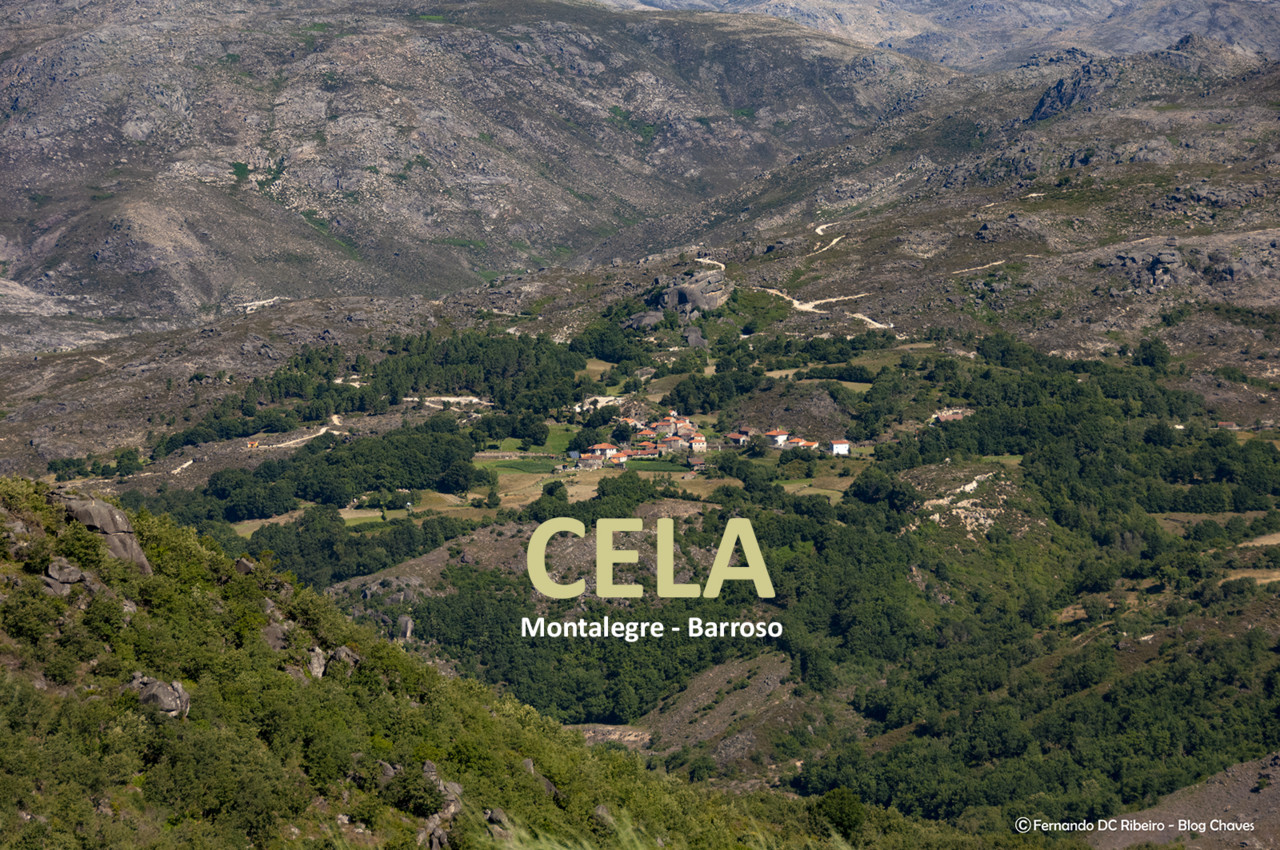 1600-cela (2)-video.jpg