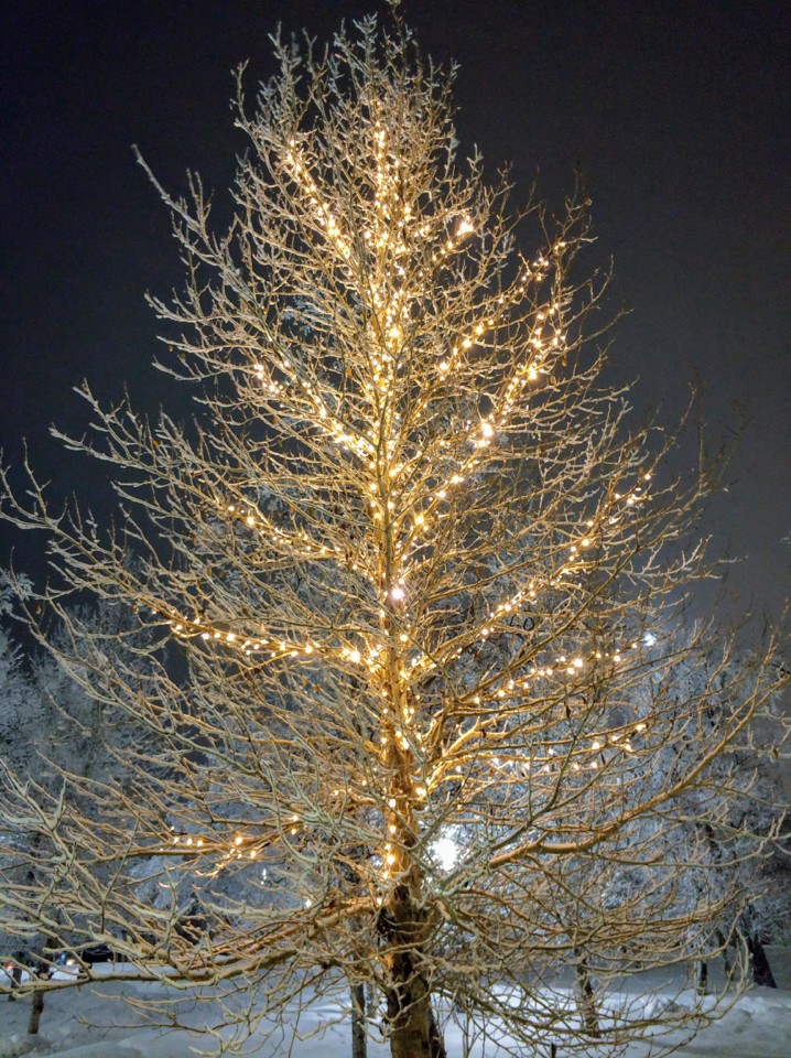 Árvore iluminada em Kiruna.jpg