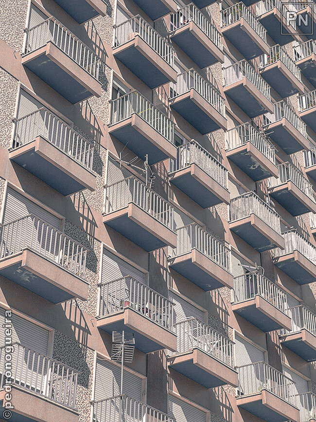 Jul_2023_012 650px.jpg