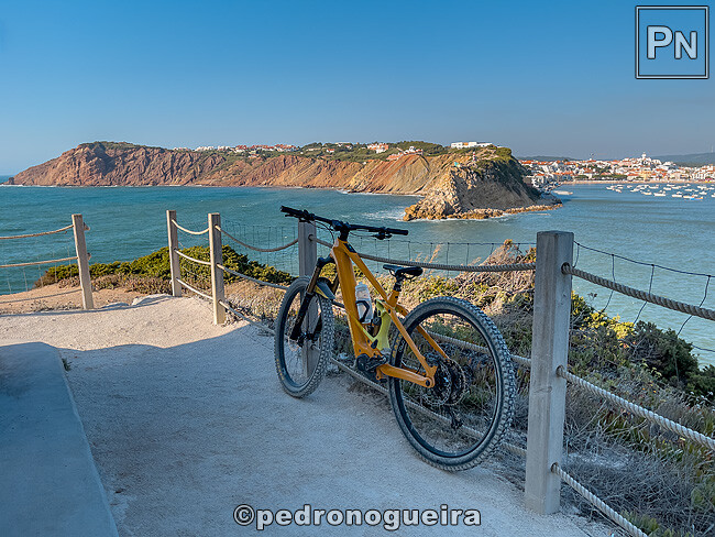 Jul_2025_036 650px.jpg