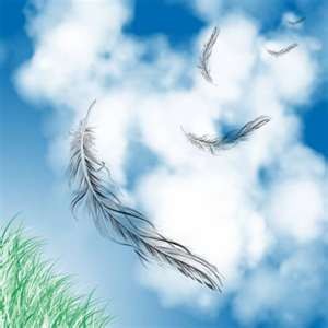 plumas-al-viento.jpg plumas-al-viento.jpg