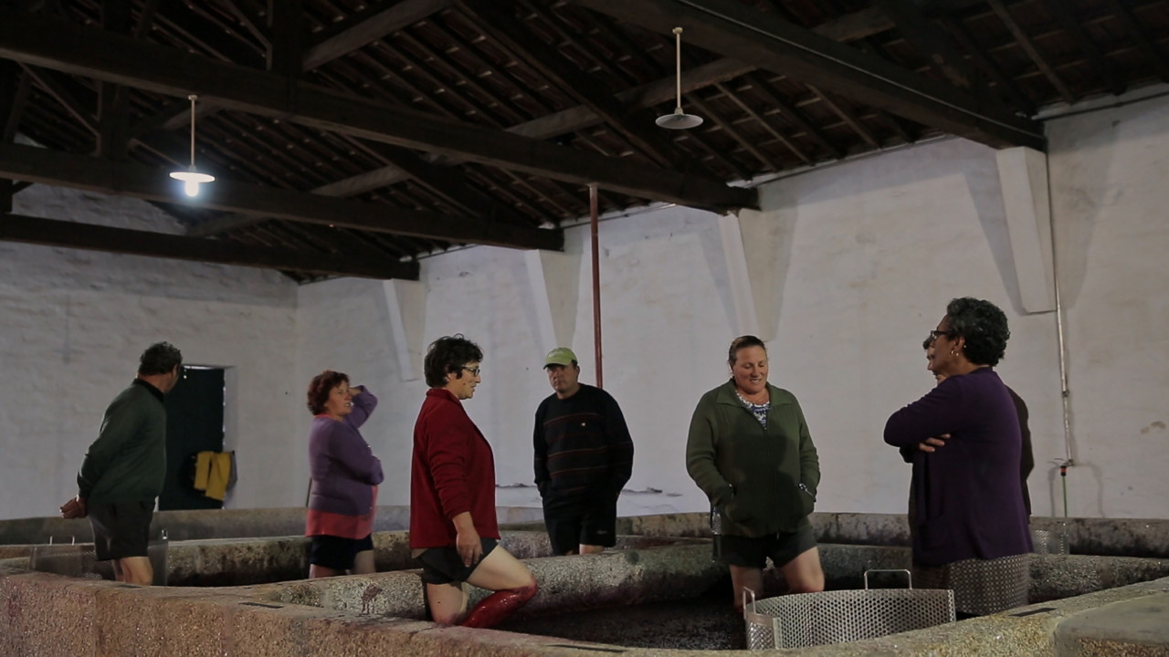 Setembro a vida inteira