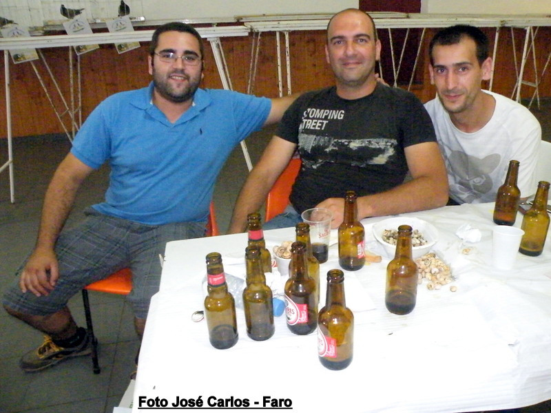 Leilão Ervidel 022.JPG