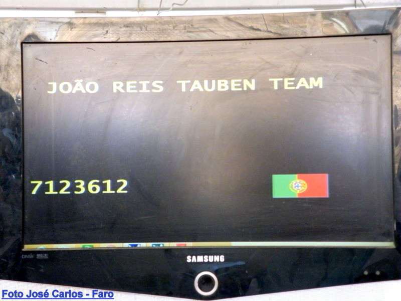 Derby Faro 2017 043.JPG