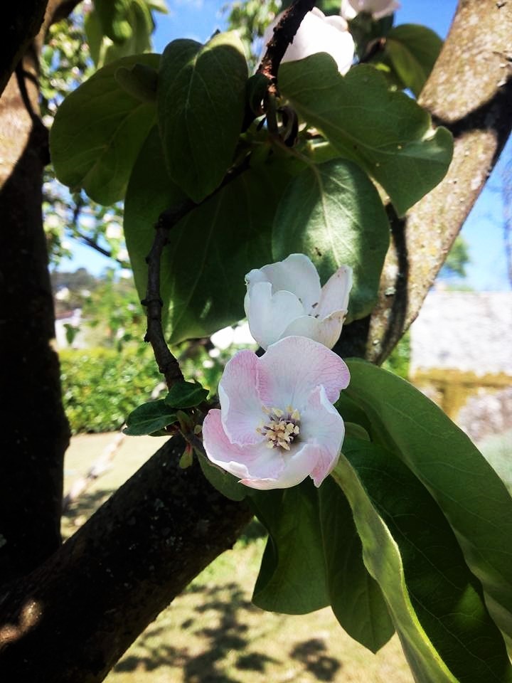 31949740_1669977196421258_9189050180098326528_n.jp