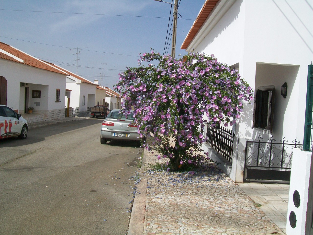 100_5337.JPG 100_5337.JPG