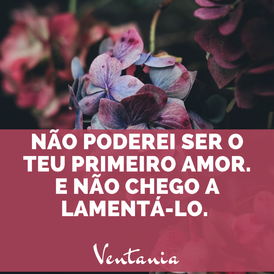 NÃO PODEREI SER O TEU PRIMEIRO AMOR. E NÃO CHEGO