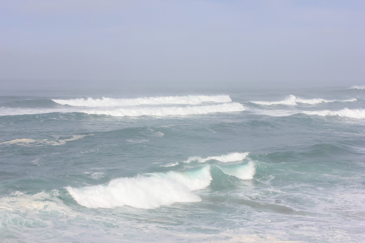 IMG_3218.JPG IMG_3218.JPG