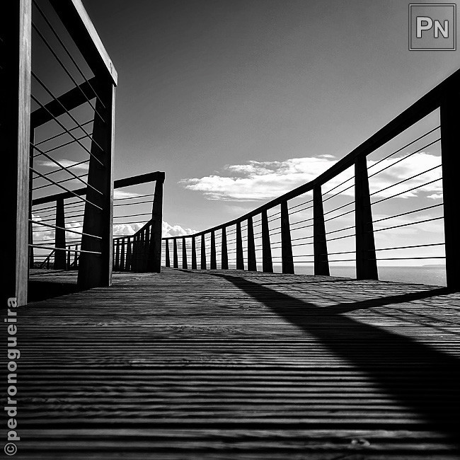 Jun_2019_042b 650px.jpg