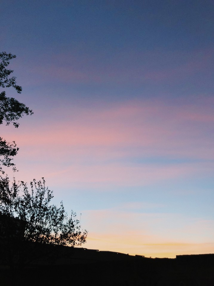 E7F661AB-AA4D-48B1-AF4A-BE4D2B994E59.JPG E7F661AB-AA4D-48B1-AF4A-BE4D2B994E59.JPG