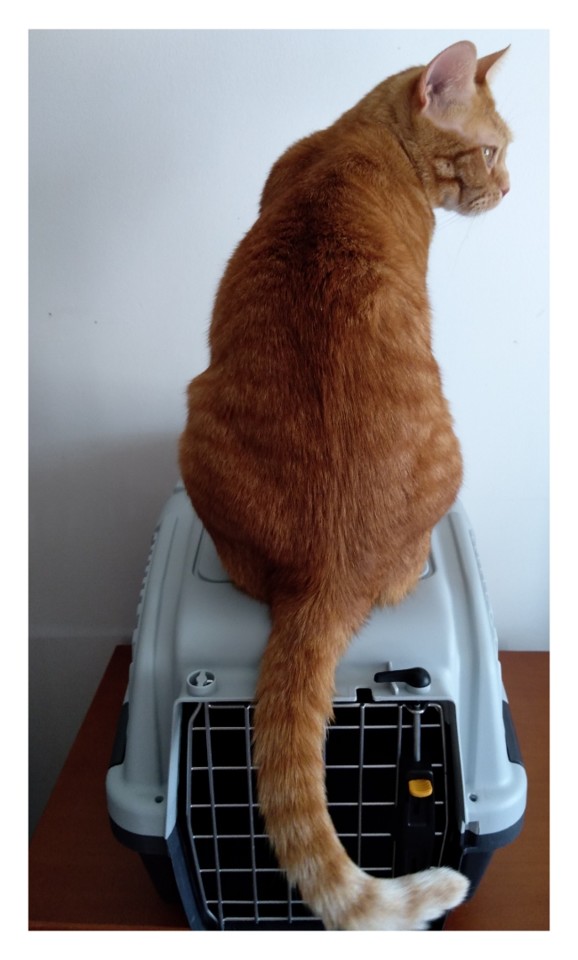 SquarePic_20200721_23362938.jpg SquarePic_20200721_23362938.jpg