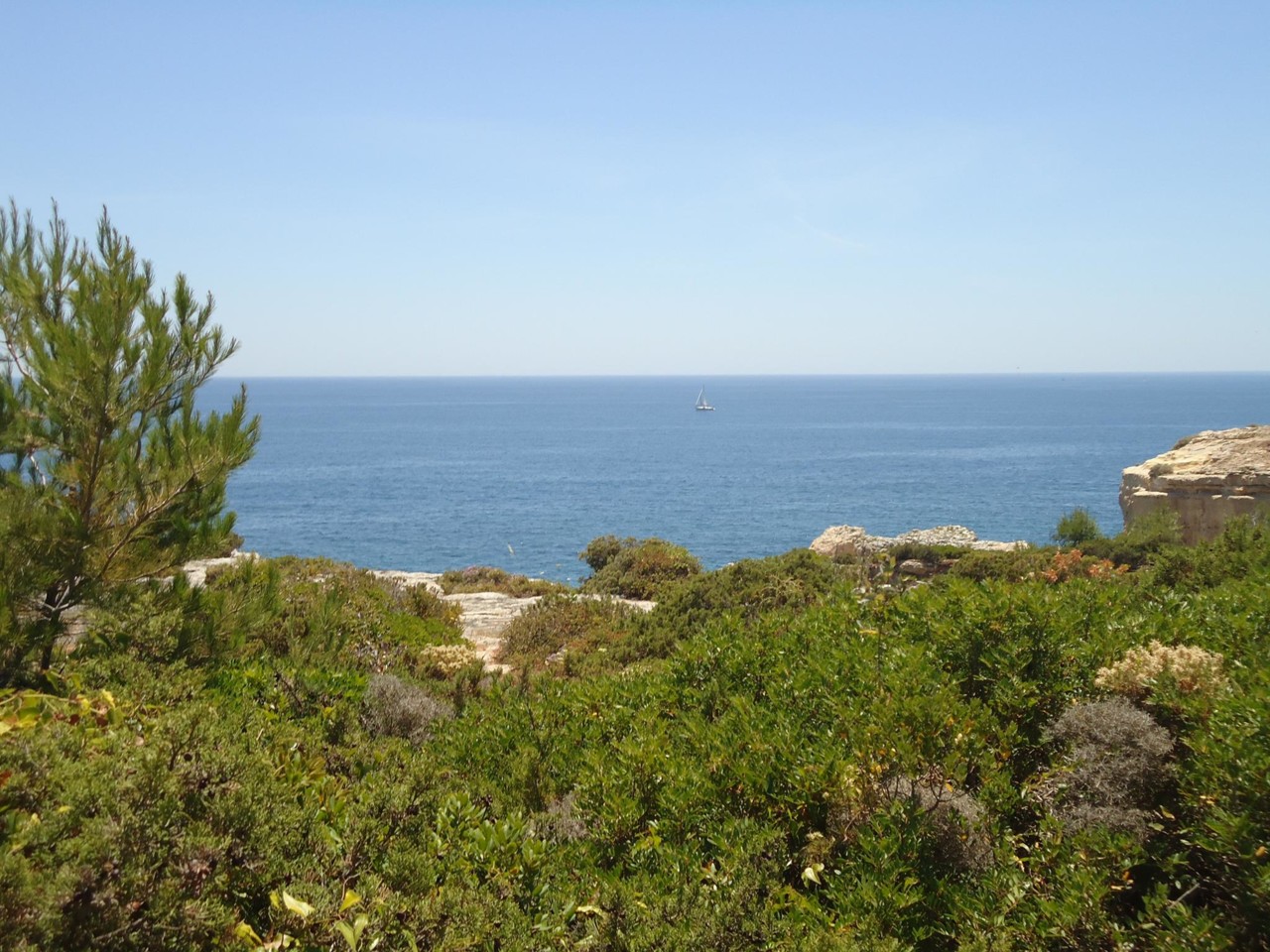 1276205_10202376292358457_1283943332_o.jpg 1276205_10202376292358457_1283943332_o.jpg