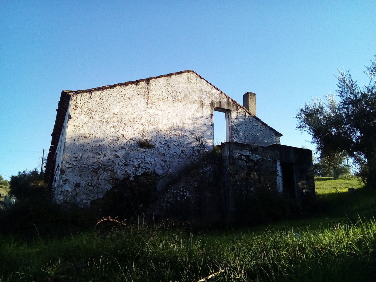 IMG_20181228_152853.jpg IMG_20181228_152853.jpg