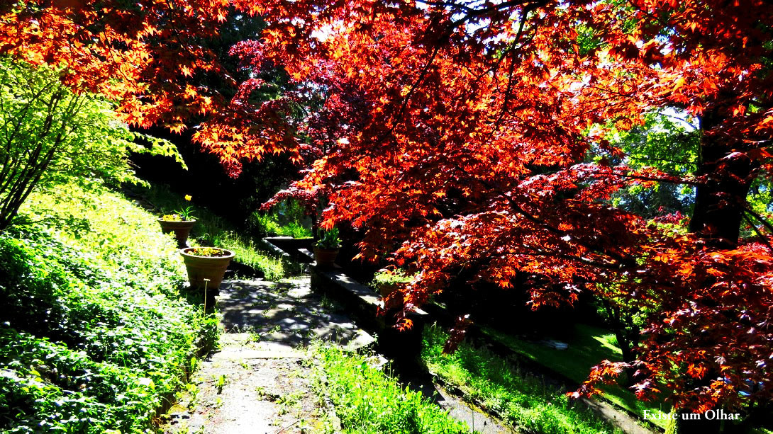 0eho4mIeUL3PVLedbiMg