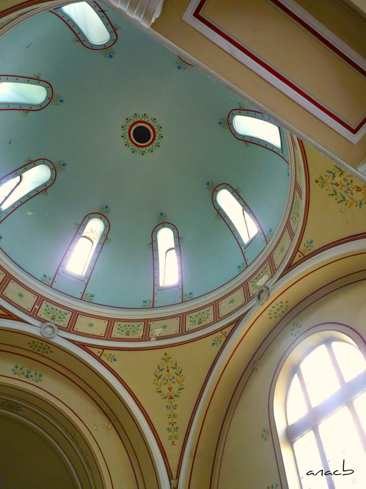 P1380004 cópia assin.jpg