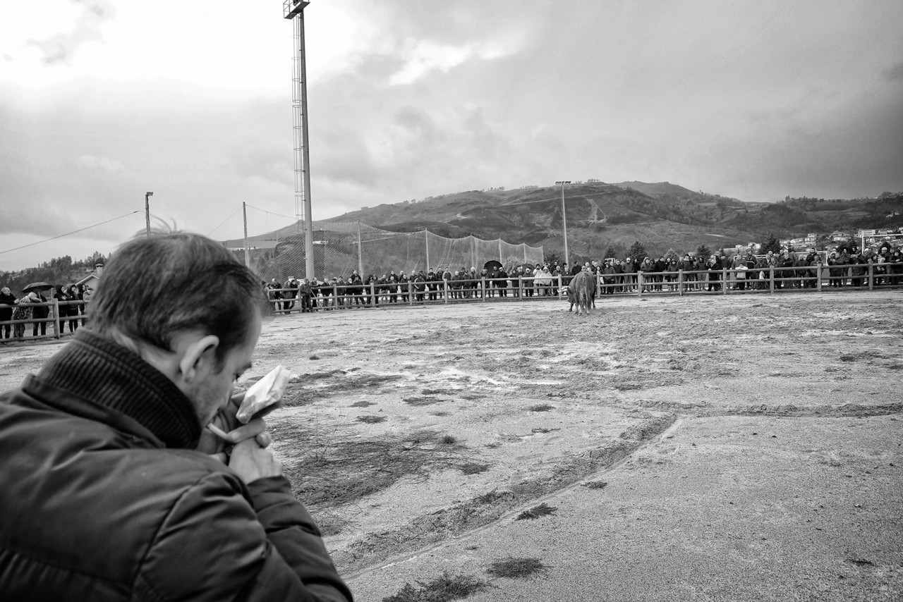 DSCF2011 - cópia copy - cópia.jpg