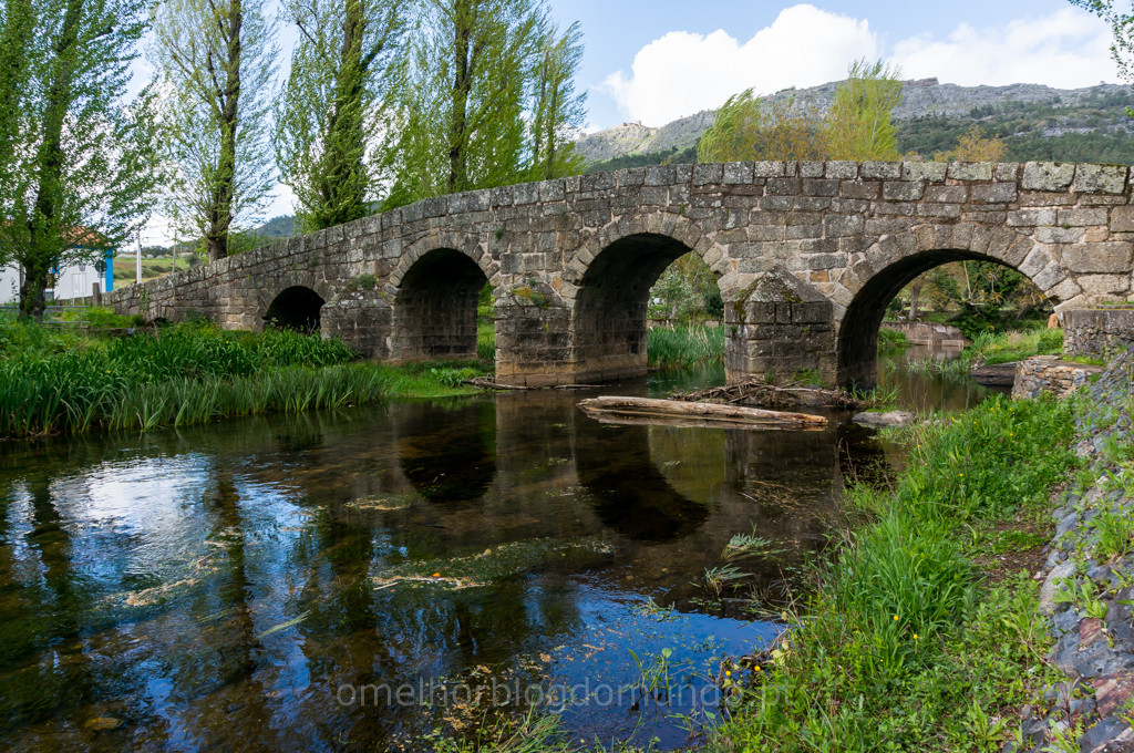 _DSC6602.jpg _DSC6602.jpg