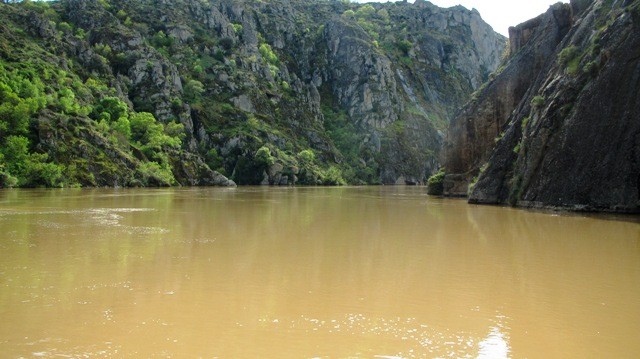 Douro_Internacional_4 Douro_Internacional_4