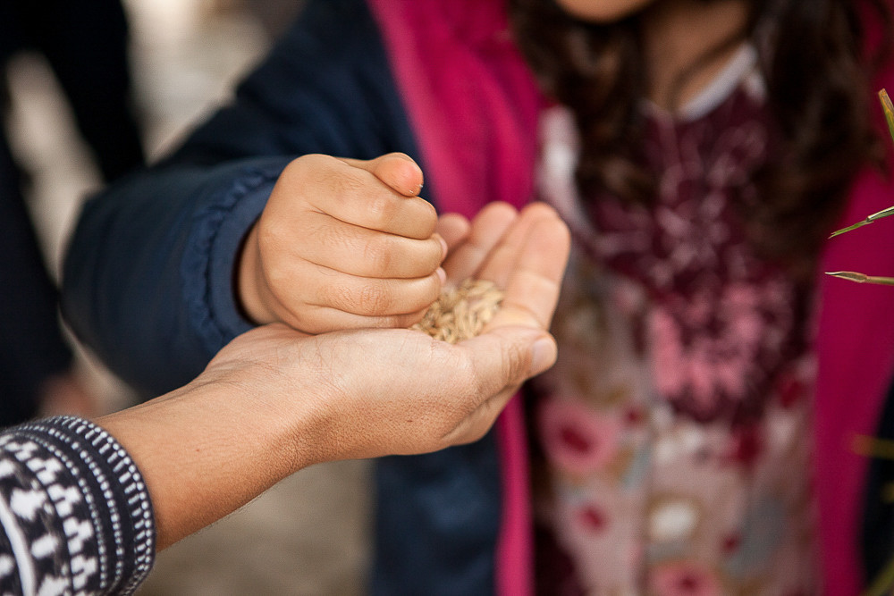 IMG_1408-3.jpg IMG_1408-3.jpg