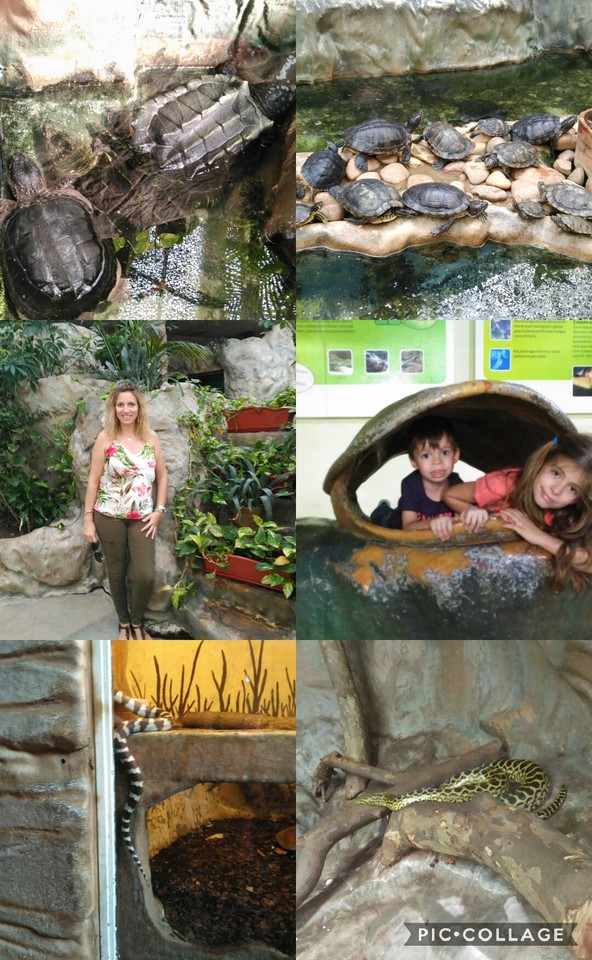 Collage 2017-08-31 23_28_09.jpg