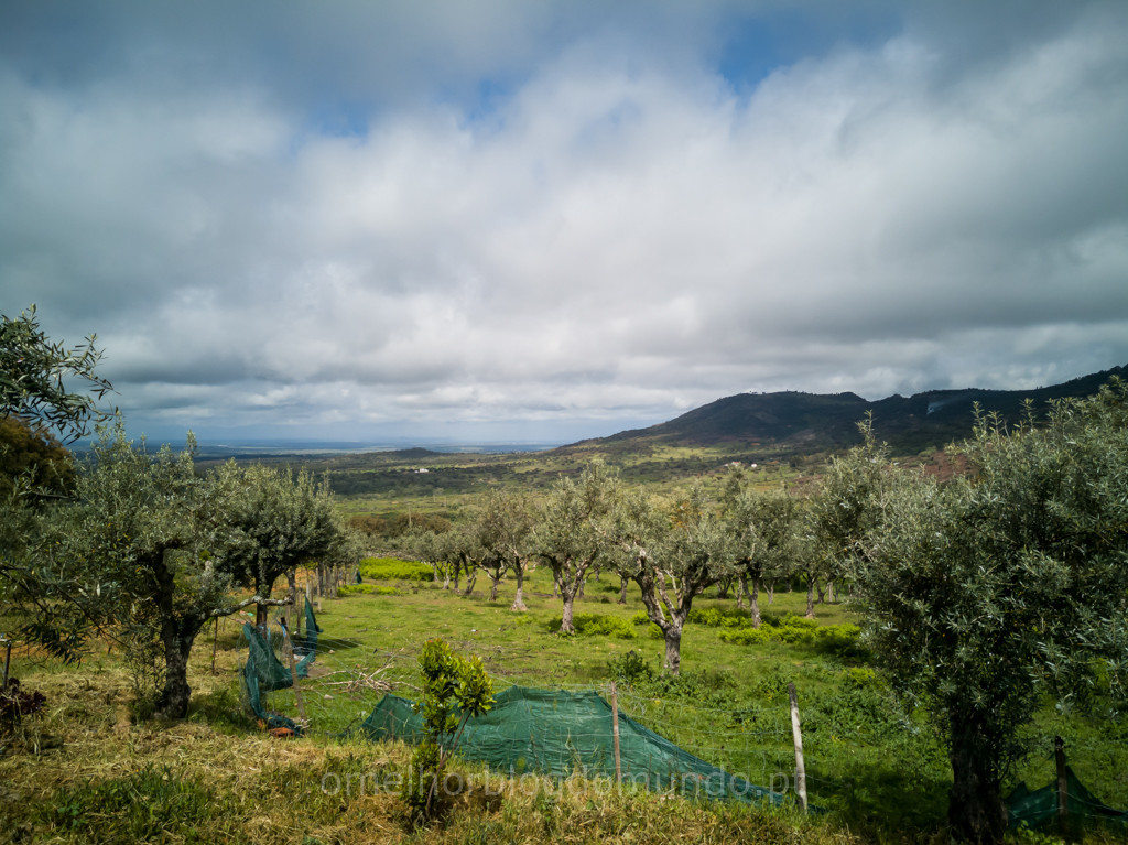 IMG_20180429_115825.jpg IMG_20180429_115825.jpg