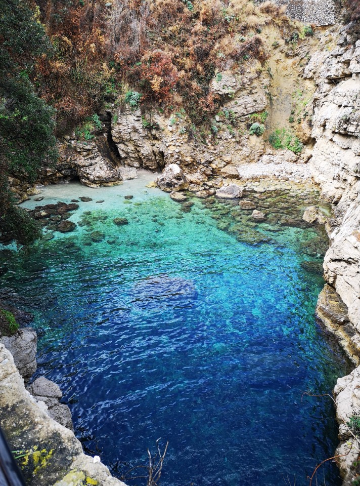 IMG_20190508_071048.jpg IMG_20190508_071048.jpg